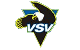 Logo Villacher SV